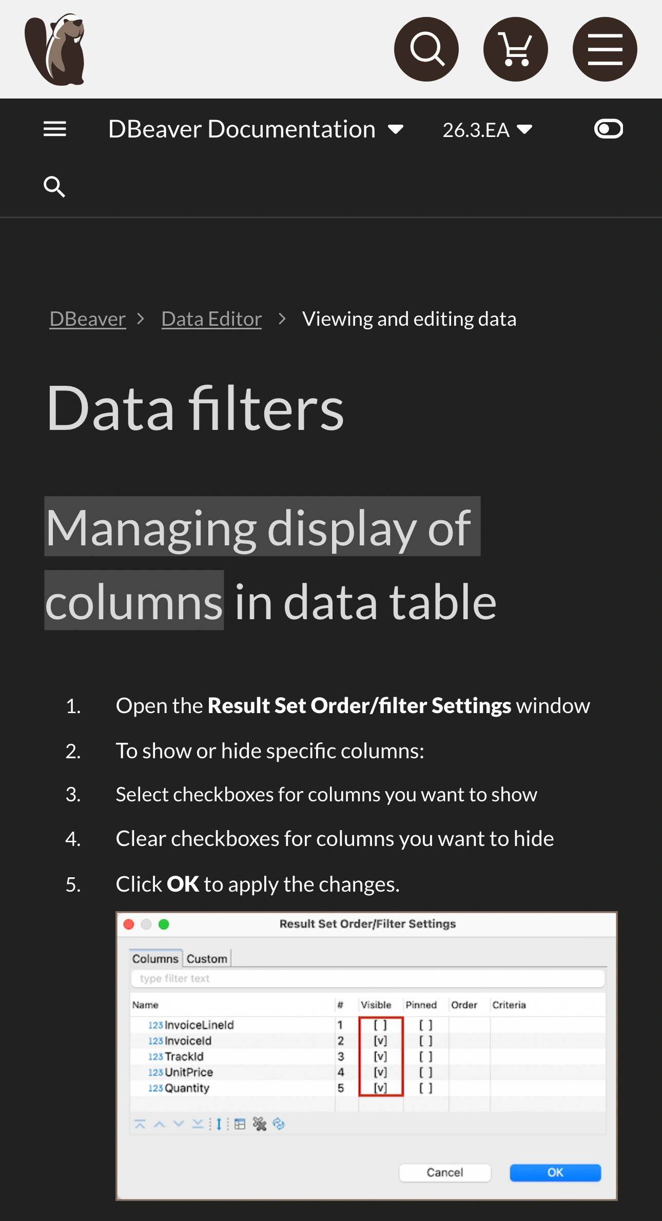 DBeaver documentation showing its logo, Data filters heading, and the visibility checkboxes used to show or hide columns